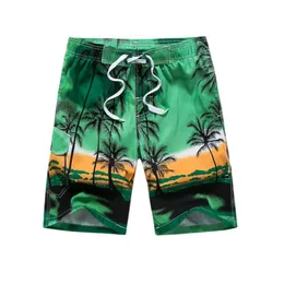 Men's Shorts Summer Man's Board Casual Beach Brand Short Surfing Landscape Print Men Boardshorts Quick Dry