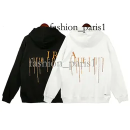 기술 스웨터 anines bing hoodies 스웨트 셔츠 새로운 뜨거운 판매 여성 디자이너 패션 후드 ab anines bing classic letter print wash 375