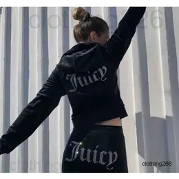 2023 Juicy Apple Tracksuit Women Veet Sewing Suits 복장 2 조각 조깅 벨로 스웨트 셔츠 Met Hoodie 바지 정장 여성 고급 패션 디자인 688SS