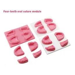 Sonstiges Mundhygiene-Dentalnaht-Trainingsmodul Silikon-Vierzähne-Mundnahtmodul Parodontitis-Nahtmodell Dentalmodell 230425