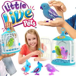 حيوانات كهربائية RC Little Live Live Pets Tweet Talking Bird Toys Toys Toys Birdcage for Electronic Pet Secret Songbirds Kids S Kids Girls Gift 231124