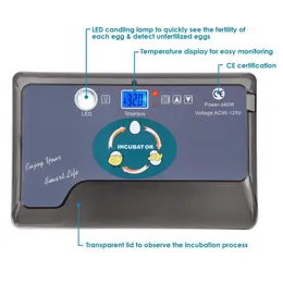 Produtos HHD Tampa superior para incubadora digital totalmente automática de 12 ovos com controlador de aquecedor sobressalente