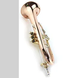Hochwertiges Flügelhorninstrument B-B-Flügelhorn mit Hartschalenkoffer, Mundstück, Tuch und Handschuhen