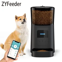 Matning WiFi Smart App Control Voice Matning 6L Timing Automatisk PET Multimeal Feeder Dispenser PP005 för Cat and Dog Pet Supplies