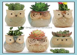 Planters Pots Garden Supplies Patio Lawn Home Ship Cartoon Owl Shaped Flower Pot For Succents Plants Flowerpot Ceramic Small Mi2334967