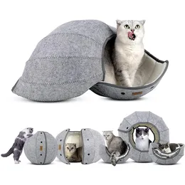 Mats Cute Shell Cat Bed House Indoor for Cats MultiFunction Cat Tent Scratch Resistant Cat Tunnel Tube Foldable Cat Toy Cave Bed Mat