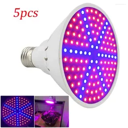 Grow Lights 5pcs 126 Leds Indoor Plant Light Flower Veg Green House Red Blue For Hydroponic System Growing Bulb Greenhouse