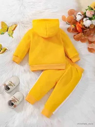 Clothing Sets 2Pcs Winter Sets For Baby Girls Flowers Print Long Sleeve Hooded Top And Long Pants Infant Newborn Outfits R231127