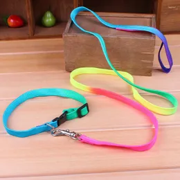 Hundehalsbänder Kleine Hunde Halsband Leine Katzengeschirr Zubehör Welpen Für Haustiere Zubehör Nylon Bunt Laisse Chien Dieren Benodigheden Hond