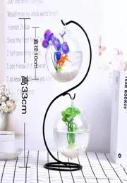 Aquariums Goldfish Ball Hanging Aquarium Fish Tank Bowl Ecosphere Flower Plant Vase Table For Small Pet Supplies Accessories1038469