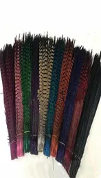 Whole Custom Colors Pheasant Tail Feathers Iewelry Craft Hat Mask Feather Hair Extention 100pcs 2022inch 5055cm EEA2941255u243390937