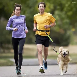 Dog Collars 2 Reflective Strip Leash With Adjustable Waist Belt Stylish Hands-Free Jogging