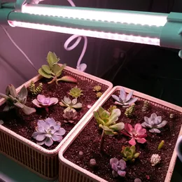 LED kommersiell hydroponic ultra T8 Grow Lite Daylight White Full Spectrum T8 LED inomhus växt växande glödlampa för diy trädgårdsodling inomhus trädgårdslampa usalight