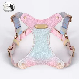 Leads Summer PU Leather Cat Harness 120cm Leash Outdoor Cat Dog Harness and Leash Set Water Proof Vest Chest Strap Kitten Accessories