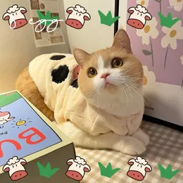 Disfraces para gatos Ropa Invierno Personalizado Primavera y otoño Versión coreana Felpa Aislamiento grueso Perro mascota