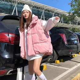 Deri kış kadın soğuk ceket yastıklı ceket yelek kolsuz ceket hırka sıcaklık fermuar yelek Koreli gevşek ucuz toptan yeni