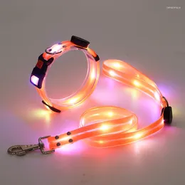 Dog Collars LED Glowing Collar Adjustable Flashing Rechargea Luminous Night Anti-Lost Light Harness For Small Pet Product