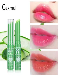 10pcslot brand Nutritious 99 ALOE VERA Natural Lipstick Temperature Change Color Jelly Lip stick Long Lasting Moistourizing Lips1501775