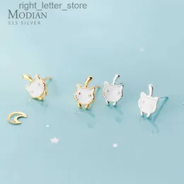 Stud Modian Fashion Sterling Silver 925 Gold Color Cut Cat Stud Earring för kvinnor Anti-allergi Animal Ear Pin Fine SMEEXCHIRY BEGIDA YQ231128