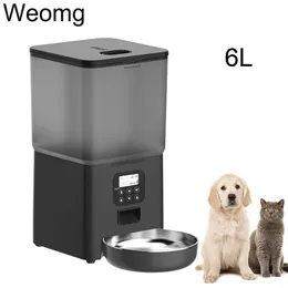 Alimentador automático inteligente para animais de estimação, 6l, tigela de aço inoxidável, dispensador de alimentos para animais de estimação, máquina de venda automática, grande, cão, gato, 4 gravadores de refeição