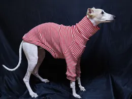 Rompers Italian Greyhound Winter Red Striped Sweater Christmas New Year Whippet Turtleneck Soft Acrylic