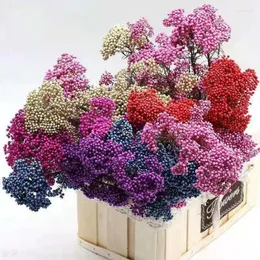 Dekorativa blommor 50 g/längd 40-45 cm naturlig torkad hirsblomma konstgjorda för hemdekoration trädgård boho dekor pampas