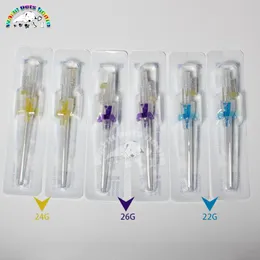 Accessories Disposable Dog Cat I. V. Cannula Animal Catheter Pet Catheters with Heparin Cap 22G 24G 26G Veterinary Tools