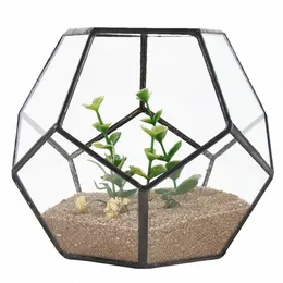 Black Glass Pentagon Geometric Terrarium Container Window Sill Decor Flower Pot Balcony Planter Diy Display Box Y200723286H