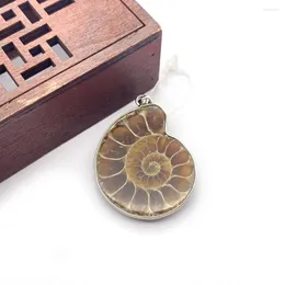 Charms Snail-shaped Brown Wrapped Melon Clasp Conch Pendant Natural Shell Charm Fashion Necklace Accessories Couple Style Holiday Gift