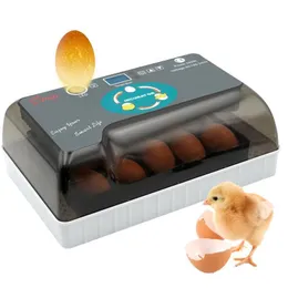 Forniture Mini 12 Eggs Incubator per pollo uccello uccello quaglia automatico Attrezzatura di incubazione Strumenti di incubazione di incubazione