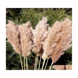 Decorative Flowers Wreaths 20 Stems Pampas Grass Bouquet Dried Flower Wedding Use Christmas Decor Artificial Fall Decoration Drop Dhnry