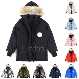 Mens Down Parkas Puffer Jaquetas Designer Hoodie Ganso Mens Real Coyote Fur Outdoor Wyndham Windbreaker Jassen Outerwear Com Capuz Manteau Casaco Casaco Hiver Parka