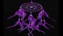 Purple Lovely Dream Catcher With Feathers Dreamcatcher Wall Hanging Car Home Decor Gift 6 kinds to choose6373966