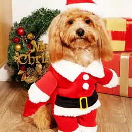 ドッグアパレル冬のクリスマス断点犬セーターウールジャンパーペット風力向上ジャケットワンシーレッドハット小さなミディアムと大きなテディプードルコスチューム231124