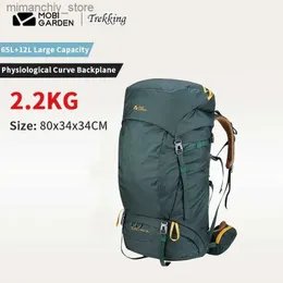 Mochila lippi experience 65l backpack sale