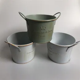 10Pcs lot D12XH6 Vintage Nostalgia Tin Planter Galvanized Buckets Wedding Succulents Pot Romancique de Paris Since 1898 T2005292524