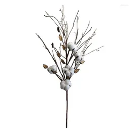 Decorative Flowers 26 Inch Natural Dried Cotton Plant Stems 5 Heads Bolls Home Furnishing Flower Decoration