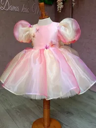 rainbow Girl Dresses Pink Flower Girls Dress 2023 new butterfly Princess Lace 2023 Ball Gown For Wedding Kids Birthday Pageant Party Custom Made Size baby party gowns