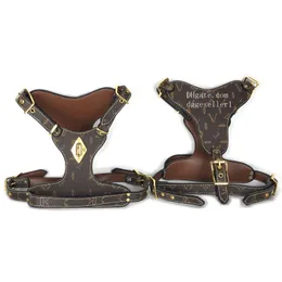 Designer Dog Harness Leash Set Leather Studded Medium och Large Dog Collar Harnesses Leash 3st Matching Set för Pit Bull Mastiff Boxer Bulls Terrier Brown L B149