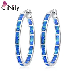 Hoop Huggie CiNily Blue Green Fire Opal Stone Orecchini a cerchio per donna SilverRose Gold Color Big Round Circle Hip Hop Punk Party Jewelry 230428