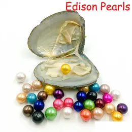 Pearl Wholesale New Diy Rainbow 911Mm Edison In Freshwater Oyster Wish Meaning Funny Birthday Gift For Women Party Drop Delivery Jewe Dhvp4