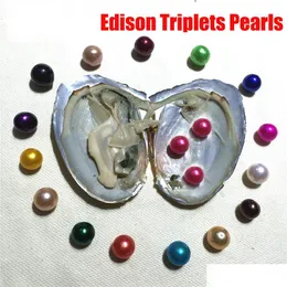 Pearl New Rainbow 911Mm Edison Triplets In Freshwater Oyster Wish Meaning Funny Birthday Gift For Women Party Diy Jewellery Drop Del Dhmrn