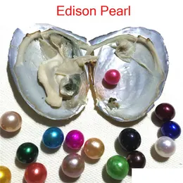 Pearl New Diy Rainbow 911Mm Edison In Freshwater Oyster Wish Meaning Funny Birthday Gift For Women Party Jewellery Drop Delivery Jewe Dhn5C