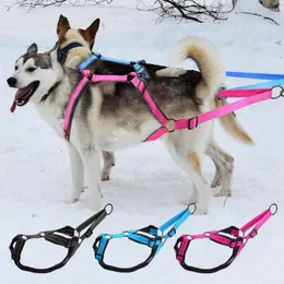 Colarinhos de cachorro arnês de trenó impermeável refletivo arneses de trenós pet Pet Pulling Colet para cães grandes de esquiador de cães de esgotamento