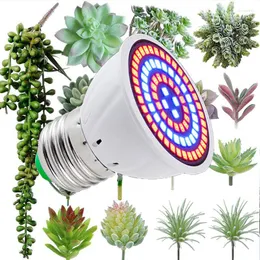 Luzes de cultivo 220V Luz LED Phytolamp para planta E27/E14/B22/MR16 Lâmpada de lâmpada Greenhouse Flower Seeds Hydroponic