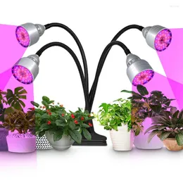 Grow Lights Hydroponics Lamp ledde fulla spektrumfrön Växande hållare klipp för växter plantor blommatält