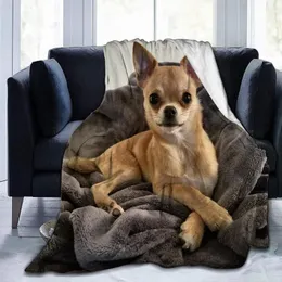 Blankets Cute Chihuahua Dog Flannel Blanket Bedspread For Bedroom Bedding Decor Multiple Sizes Fluffy Plush Soft Sofa Bed Throw