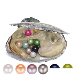 Pearl Wholesale Akoya ostron 67mm runda i ostron skal med colouf pärlor smycken av vakuum packade 6 st droppleverans dhatb