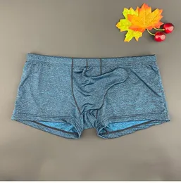 Luxury Mens Underwear Underpants Boxer Briefs Elephant Nose Low Waist Sexy Slim-Fitting Cool Breathable Men Pants Strong Male Drawers Kecks Thong TYU5