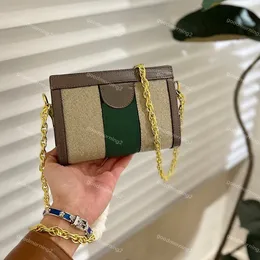 Designer Shoulder Bag Fashion Women Bags Chain Handbags Totes Mini Cross Body Pockets Phone Wallets Coin Storage Purses Metal Chain Magnetic Snap Design